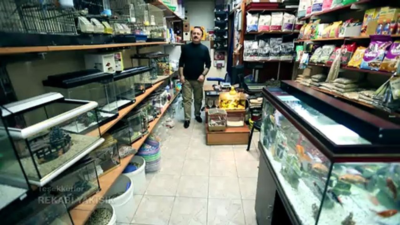 Yılmaz Kasapoğlu - Değmezmiş Sana