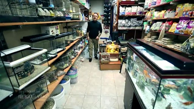 Yılmaz Kasapoğlu - Değmezmiş Sana