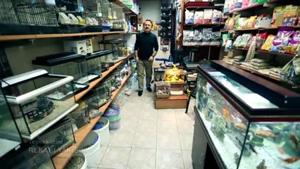 Yılmaz Kasapoğlu - Değmezmiş Sana