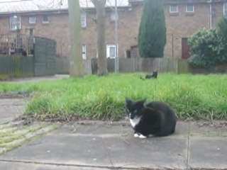 Snooks and her son Midnight