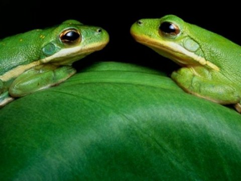 블랙잭룰♡▧▧vip933.com▨▨♡블랙잭룰