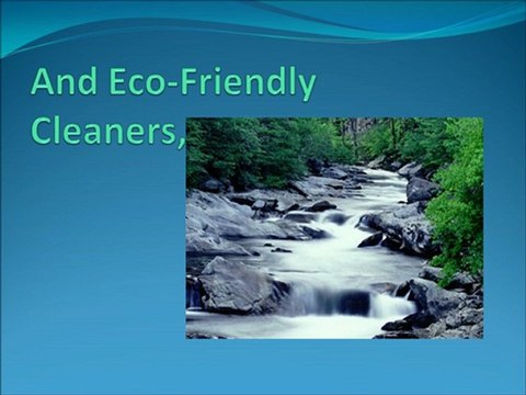 Carpet Cleaners in Minneapolis 612-825-9797