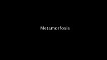 Metamorfosis