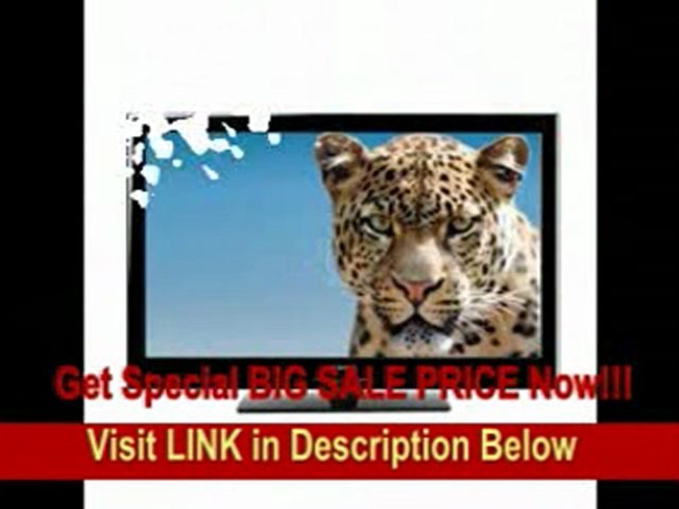 Telestar Visioflat 81 cm (32 Zoll) LED-Backlight-Fernseher Energieeffizienzklasse C (PVR-Ready, Full-HD, 4x HDMI, 2x SCART, DVB-S2, DVB-C, DVB-T, CI+, Hotelmode, USB) schwarz