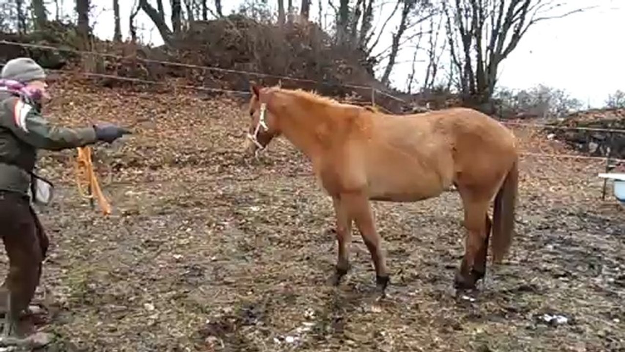 Alpha valse