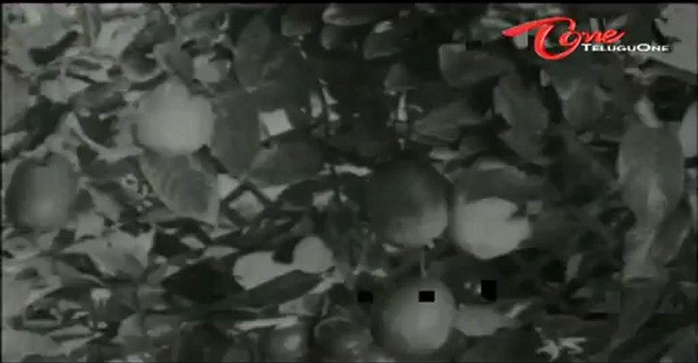 Gaali Medalu Songs - Navaragalu - NTR - Devika