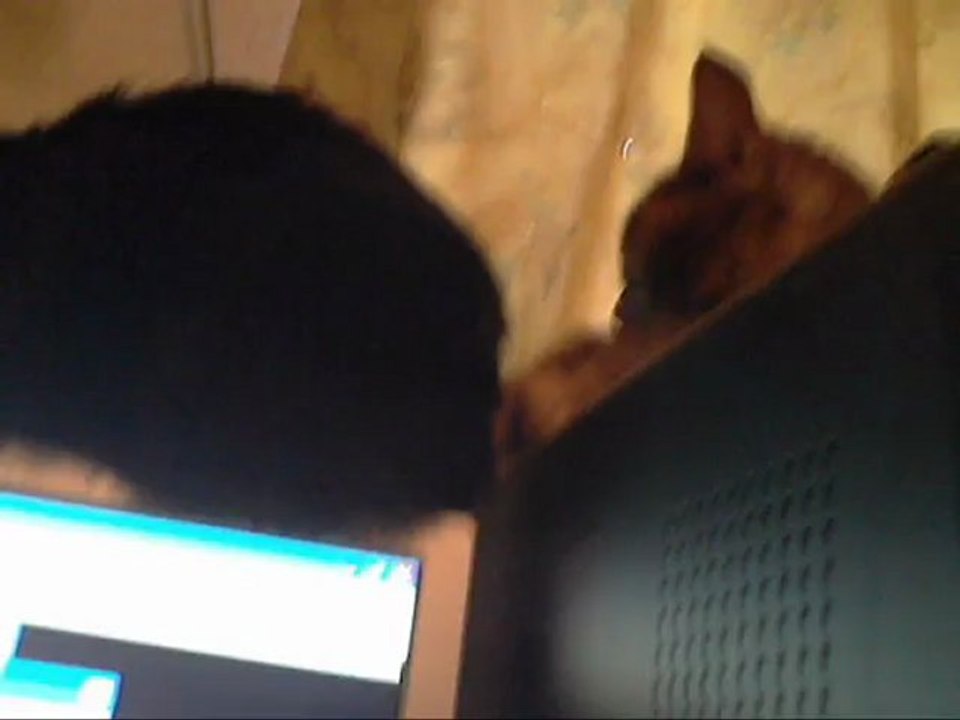 Negri ecoute de la musique