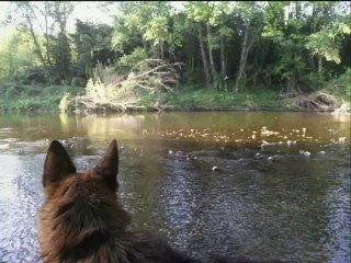 Rien ne se crée, rien ne se perd