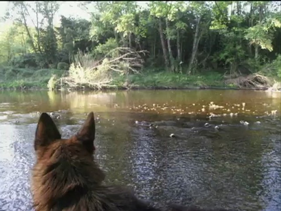 Rien ne se crée, rien ne se perd