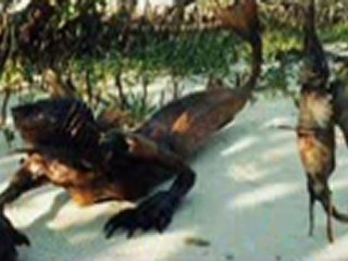 베스트베스트 ☪ ☥QCH138．ＣＯＭ ☥☪  외국인카지노