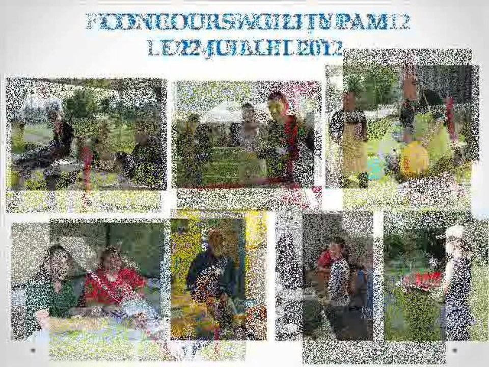 AG 2013 CC PAM