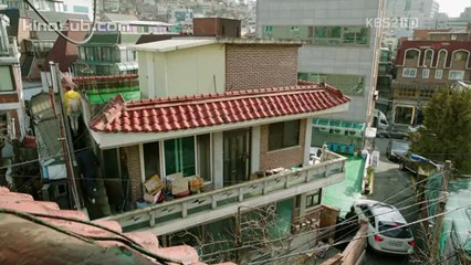 Хайрын бороо 8-1