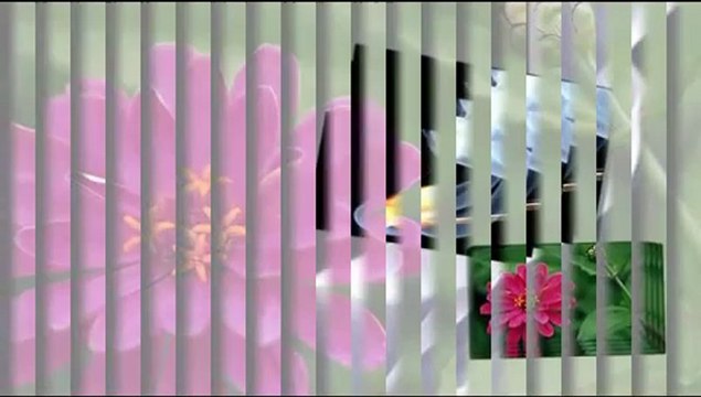 ( KARACAOĞLAN ) ... Gülay ... Suna'yı Da Deli Gönül Suna'yı