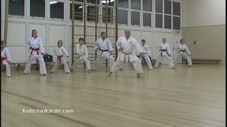 Grimsby Karate Tips - Oizuki Hip Rotation