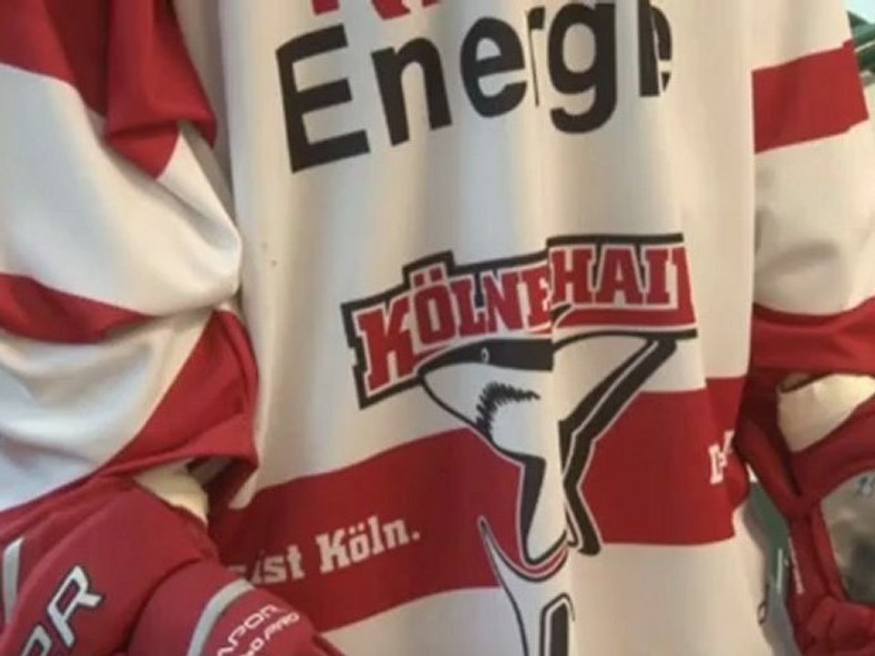 DEL: Die Haie werden noch gefährlicher - Sturm ist da