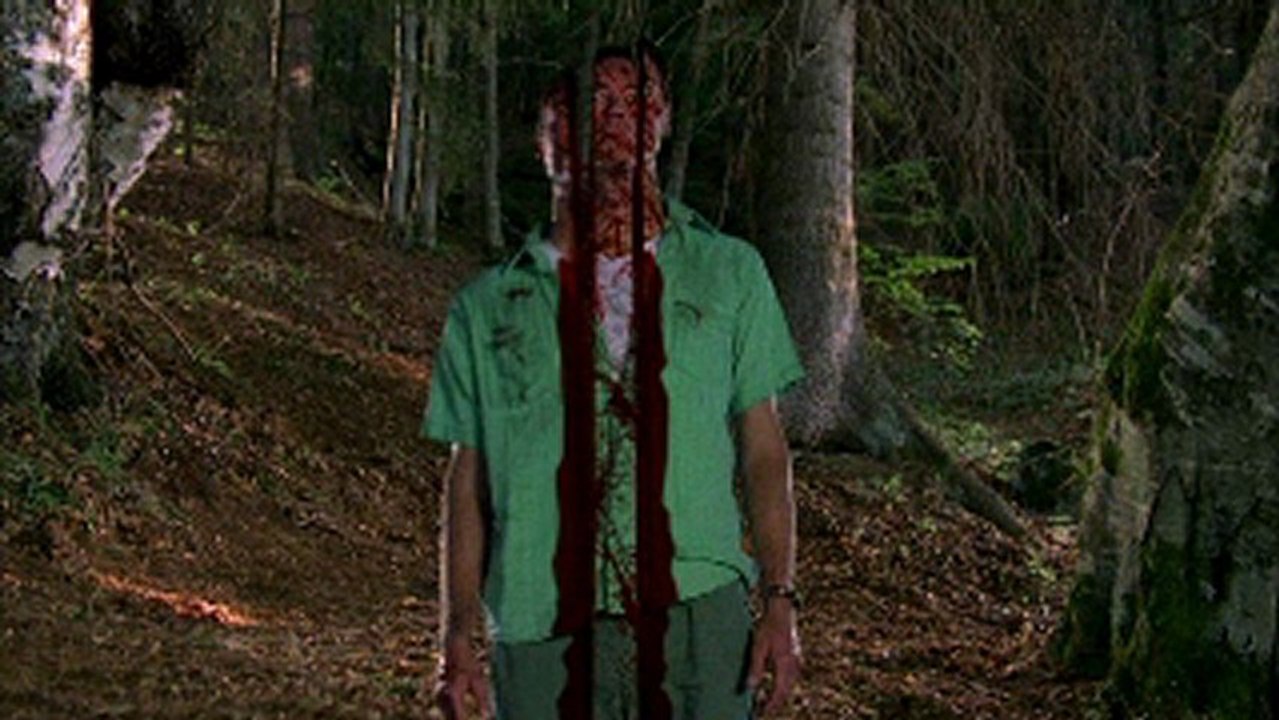 Wrong Turn 3 Left for Dead) watch online www.hdmoviespool.com