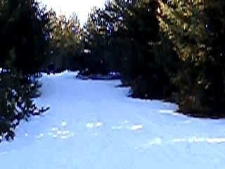 Luge vol plané à 2