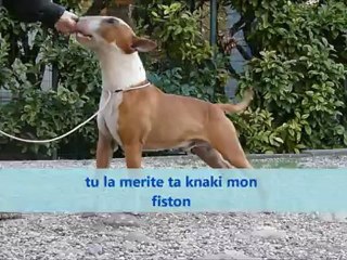 eros entrainement pour expo