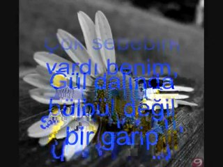 Kayahan - Bir Garip Serçe