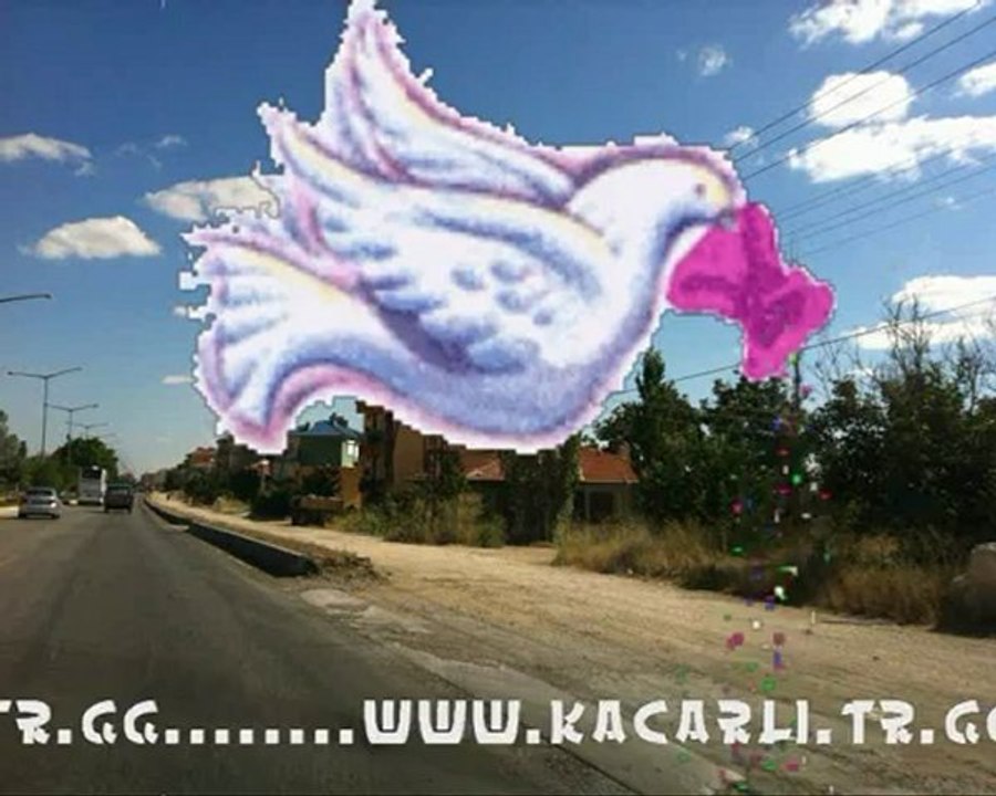 Gurbet Kuslari