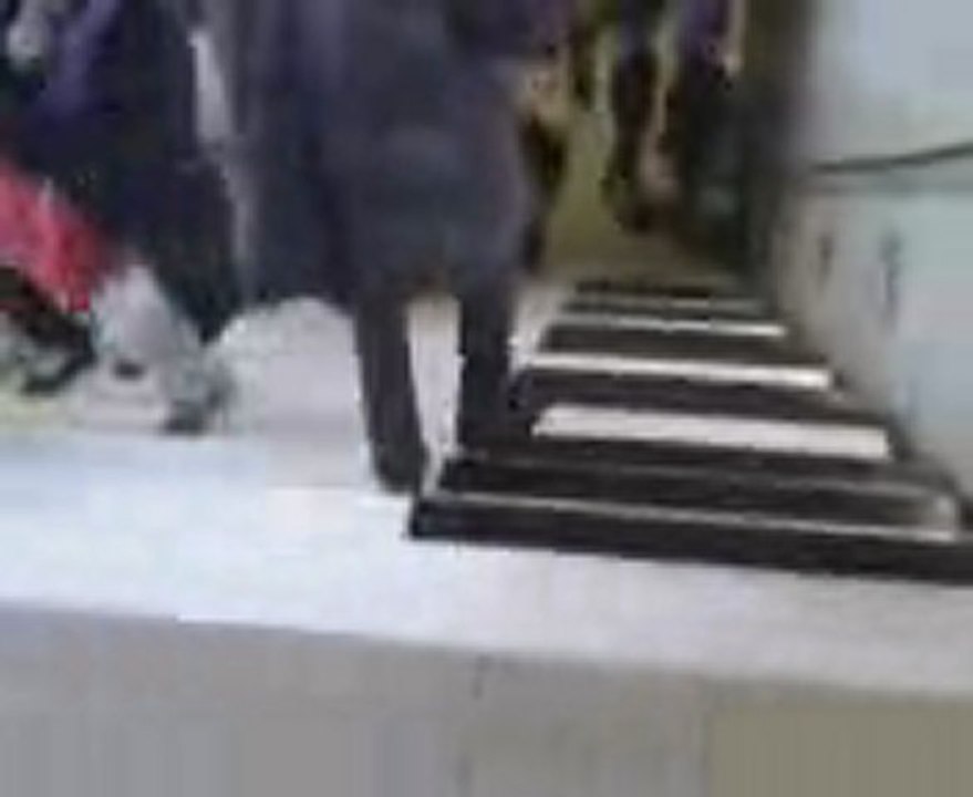 SanMétro de Rennes : nos pieds font de la ms Titre