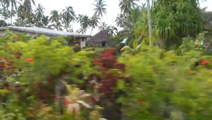 travelling le long de la route à Lifou