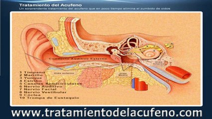 Remedios Caseros para Oídos Tapados