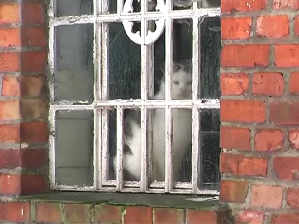 Annette schavan ruecktritt 09022013