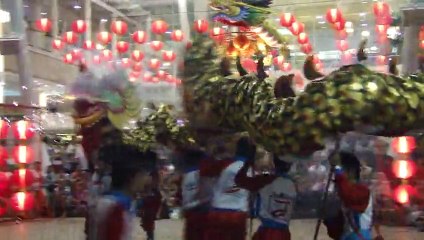 nouvel an chinois le serpent