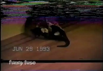 FunnyFuse Faves: Look Into My Paws