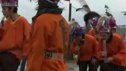 Mediachilena.com | Pikunche