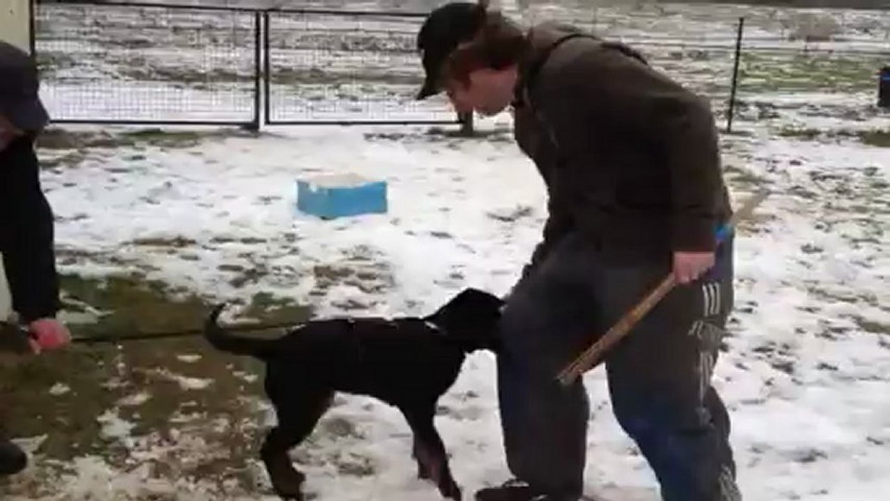 ring_HURON_4mois_costume