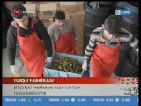 Rahova Turşu - Turşu Üretim Tesisi - Bitlis / Tatvan - Firma Yöneticisi : Faruk FARUK