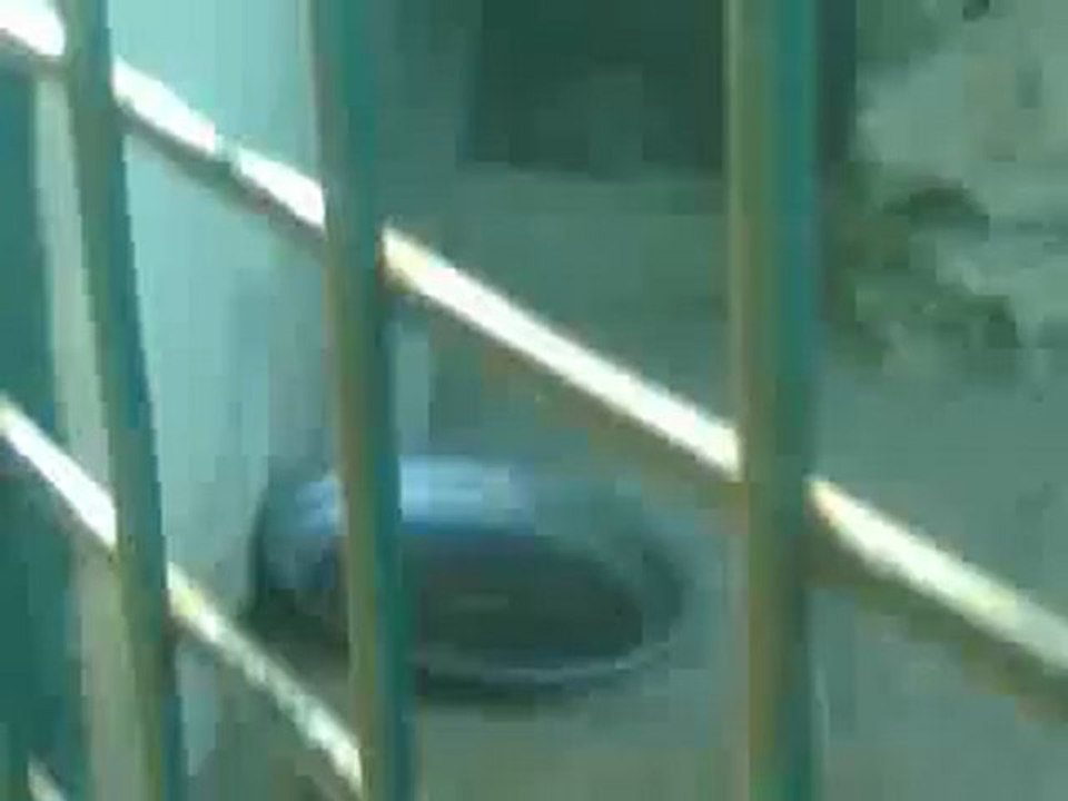Video0007