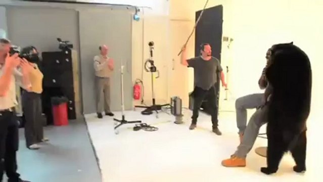 JO 2012_ Teddy Riner, duo de gros nounours sur le tatami