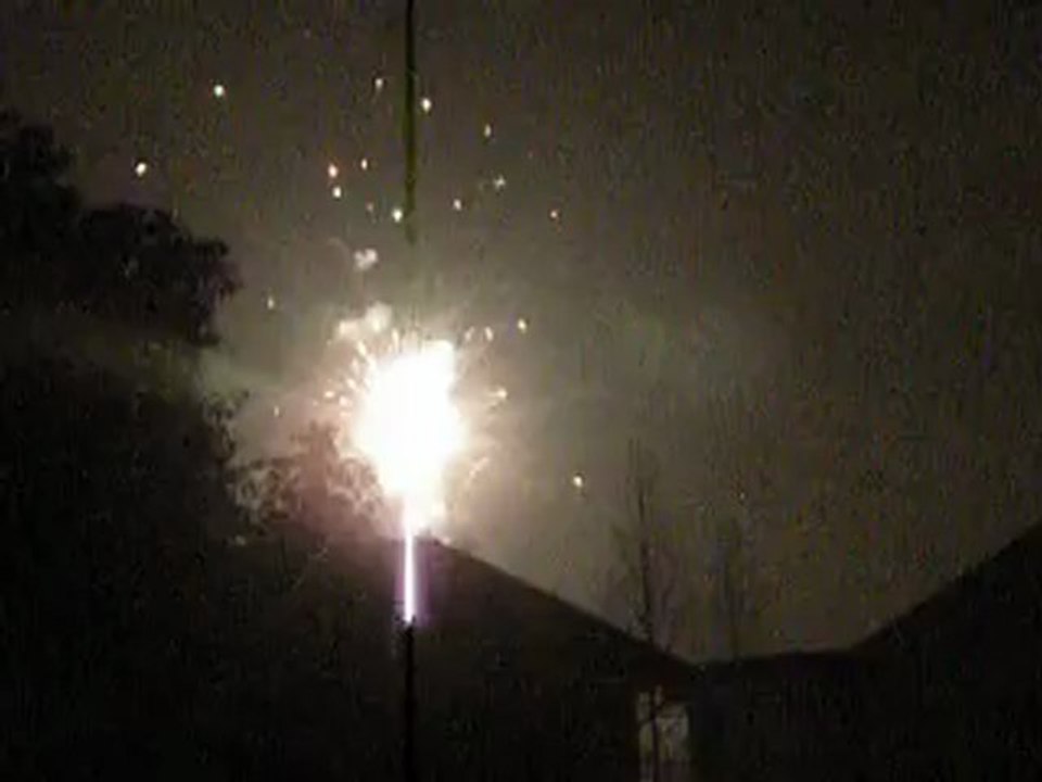 Nouvel An Chinois