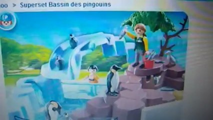 Superset bassin des pingouins