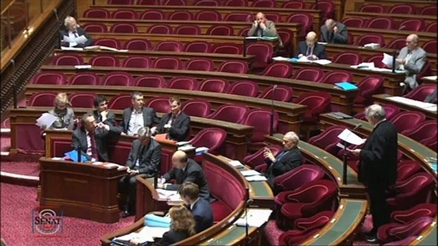 PJL relatif à la création de la banque publique d'investissement