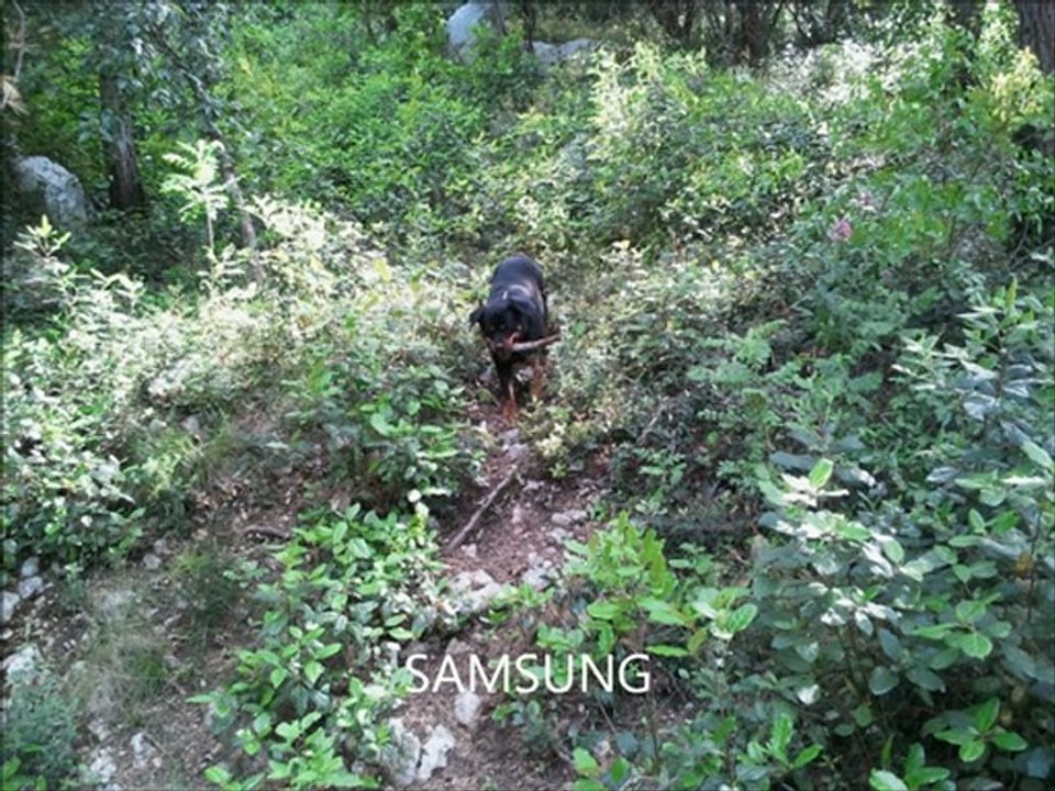 Repose en paix ma Kouma,je t aime ma fille ,pour toujours dans mon coeur