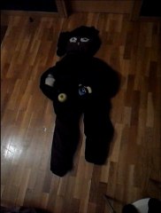 Su sueño, nuestra realidad