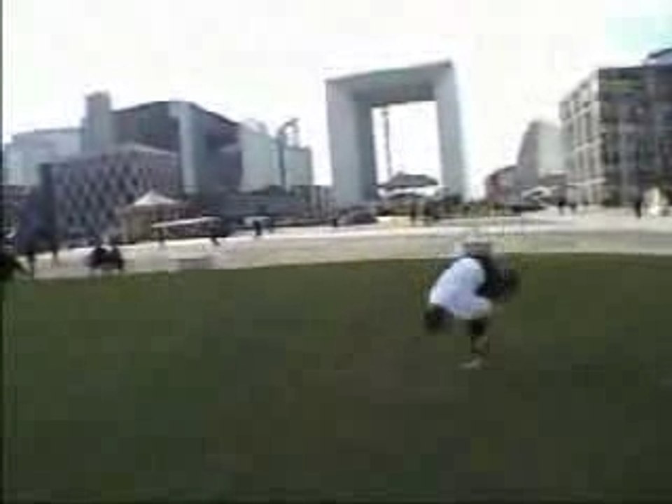 Capoeira brasil