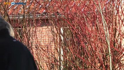 Opnieuw aardbeving bij Loppersum - RTV Noord