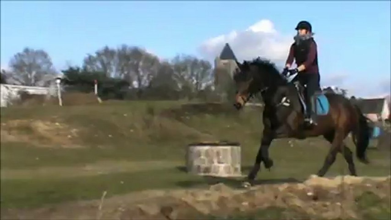 Reprise de la saison : Fleur S