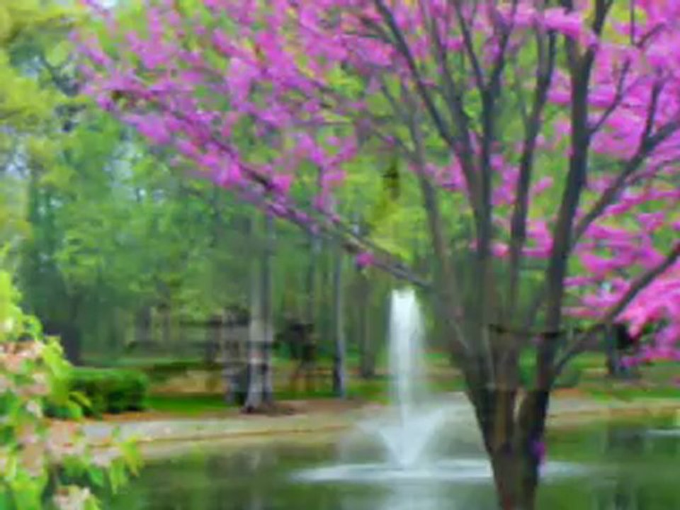 Nedim varol, Tufanbeyli, Adana . (Pazarlıkmı olur.2013 )