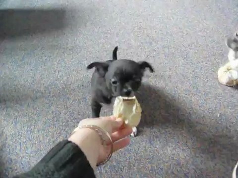 Hot Boy des Dunes de Keremma