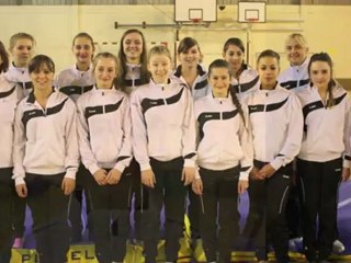 Gym Othis 2013 -  Groupe Compétition