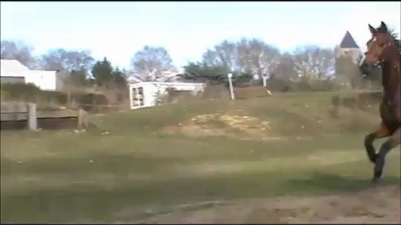 Reprise de la saison : Alex et Ouragan