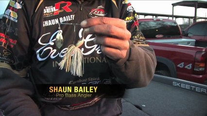 Bass fishing tips
