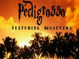 MENINA LATINA PEDIGROSSO FEATURING DJ GAUTAMA