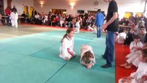 Judo pange laquenexy 9 février 2013 2eme partie
